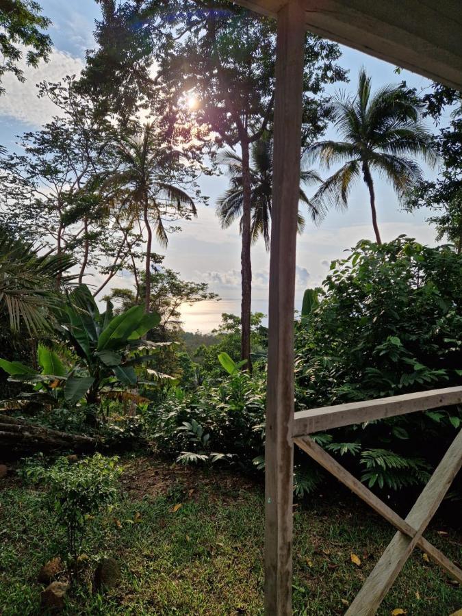 World'S View Wild Camping Salaszoi, Principe Island Santo António Kültér fotó
