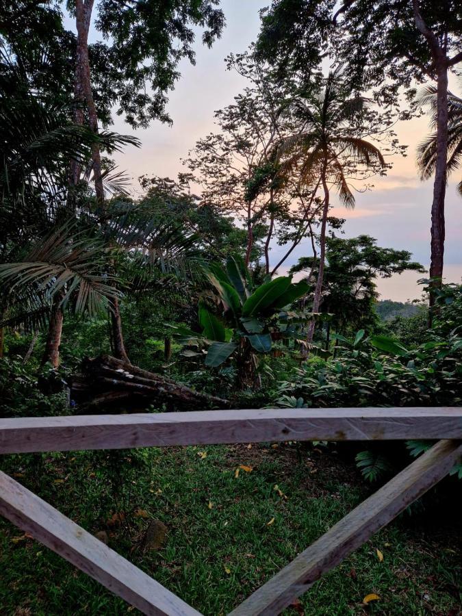 World'S View Wild Camping Salaszoi, Principe Island Santo António Kültér fotó