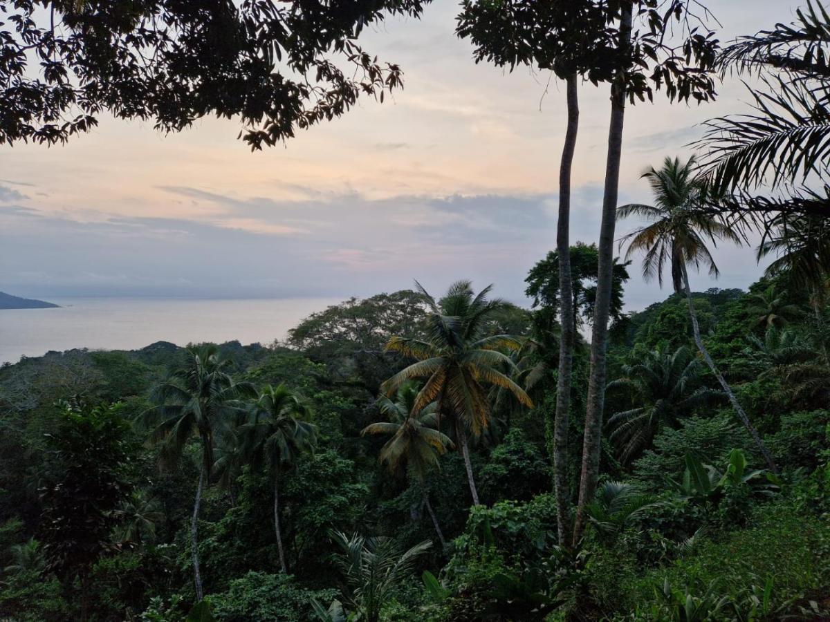 World'S View Wild Camping Salaszoi, Principe Island Santo António Kültér fotó