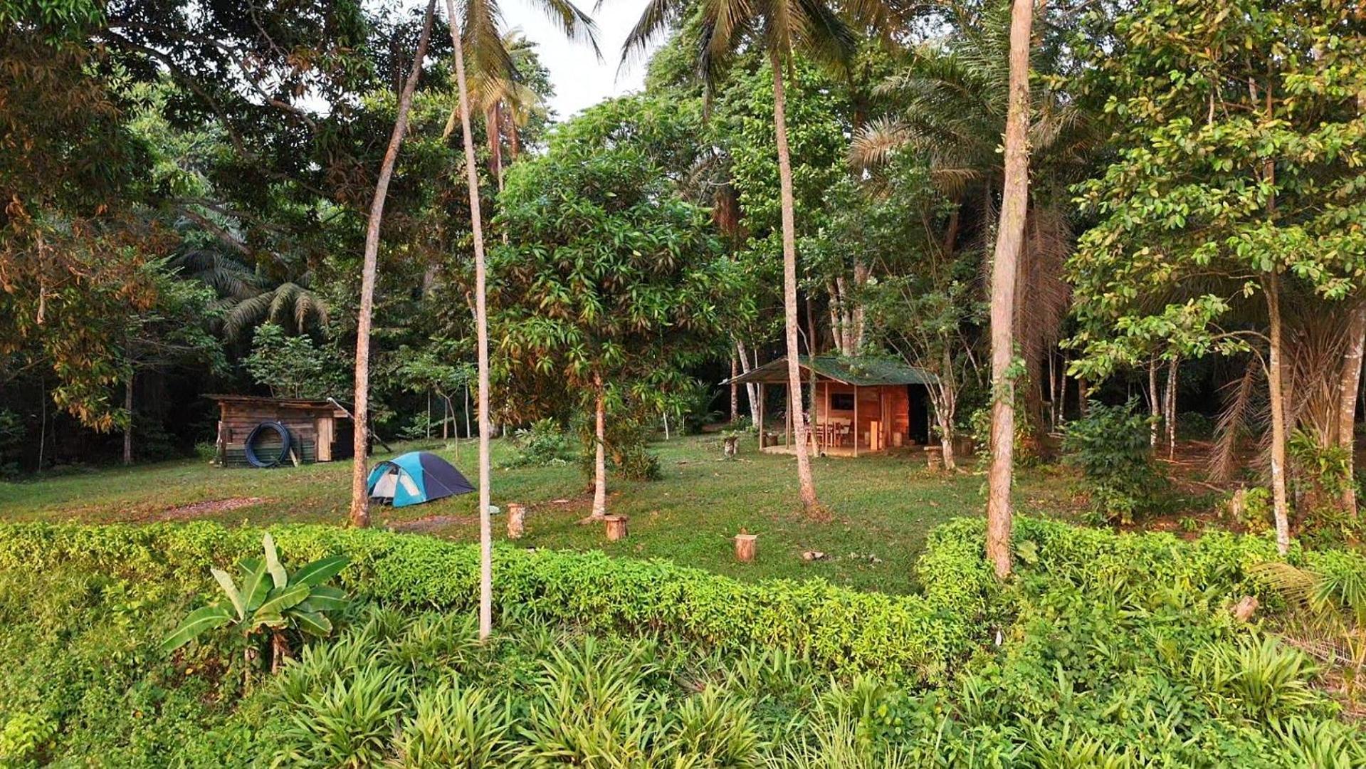 World'S View Wild Camping Salaszoi, Principe Island Santo António Kültér fotó